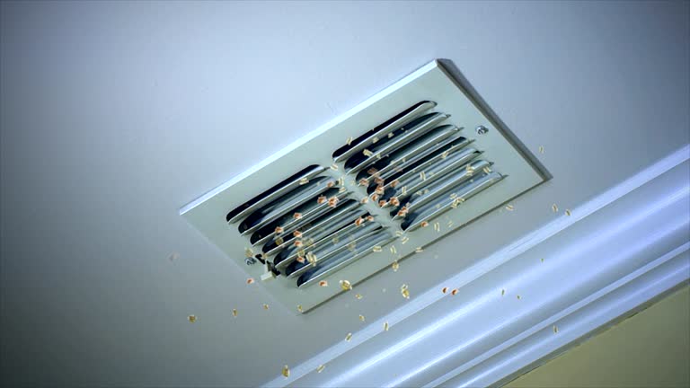Best Air Vent Cleaning Services  in Lafayette, CA