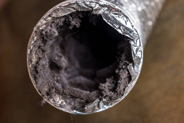 Best Air Duct Cleaning Company Near Me  in Lafayette, CA